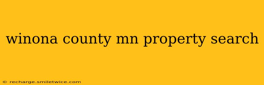 winona county mn property search