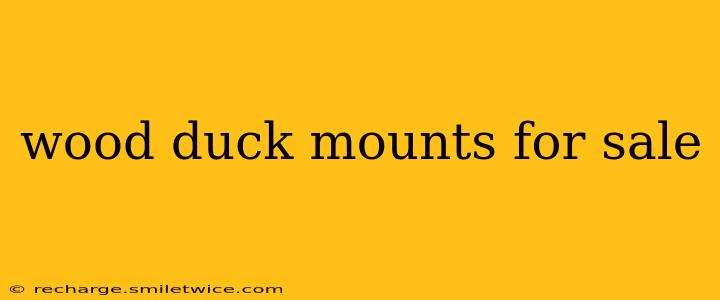wood duck mounts for sale