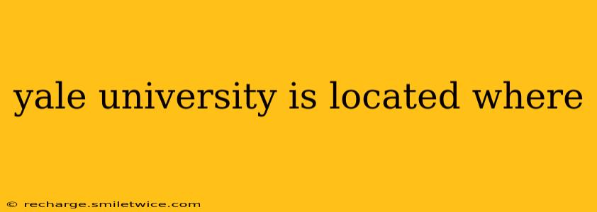 yale university is located where