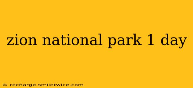 zion national park 1 day